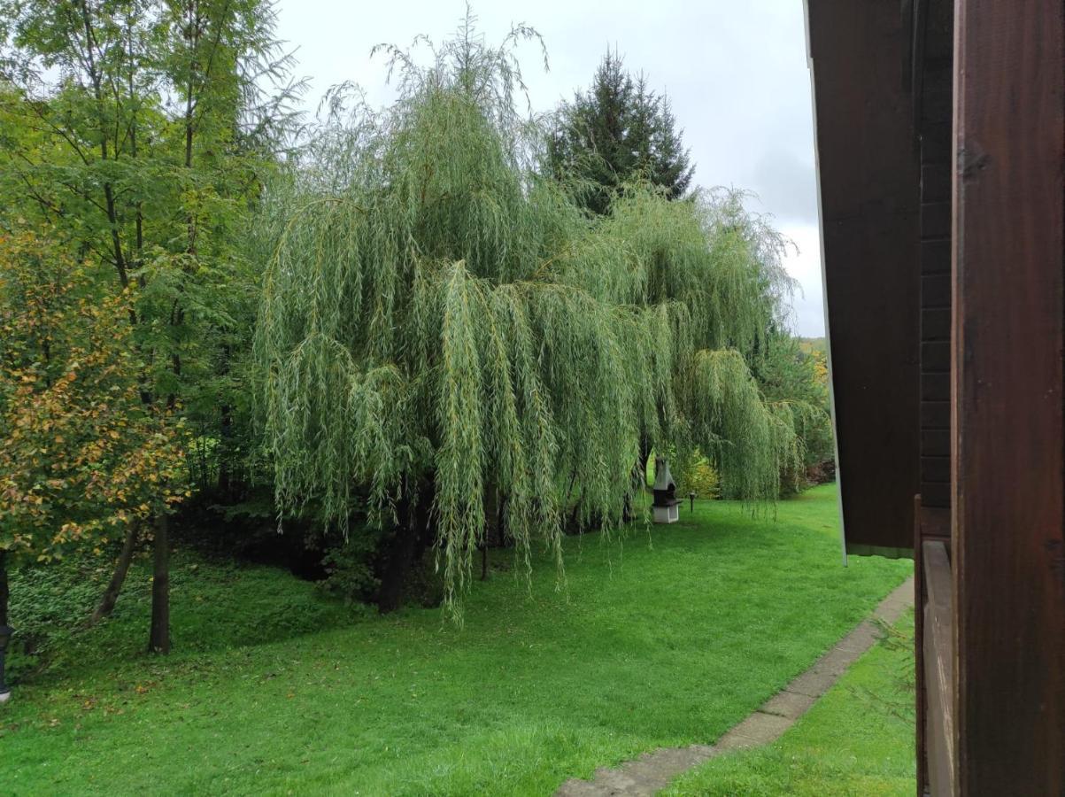 Za Potokiem Villa Solina  Eksteriør bilde