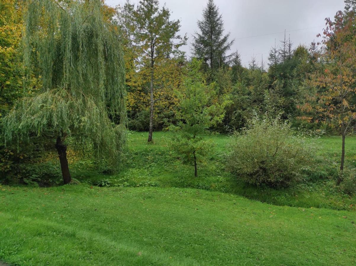Za Potokiem Villa Solina  Eksteriør bilde