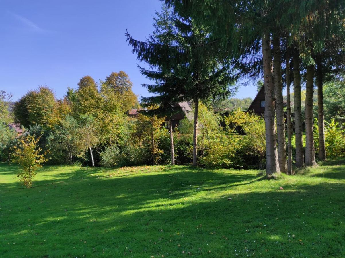 Za Potokiem Villa Solina  Eksteriør bilde