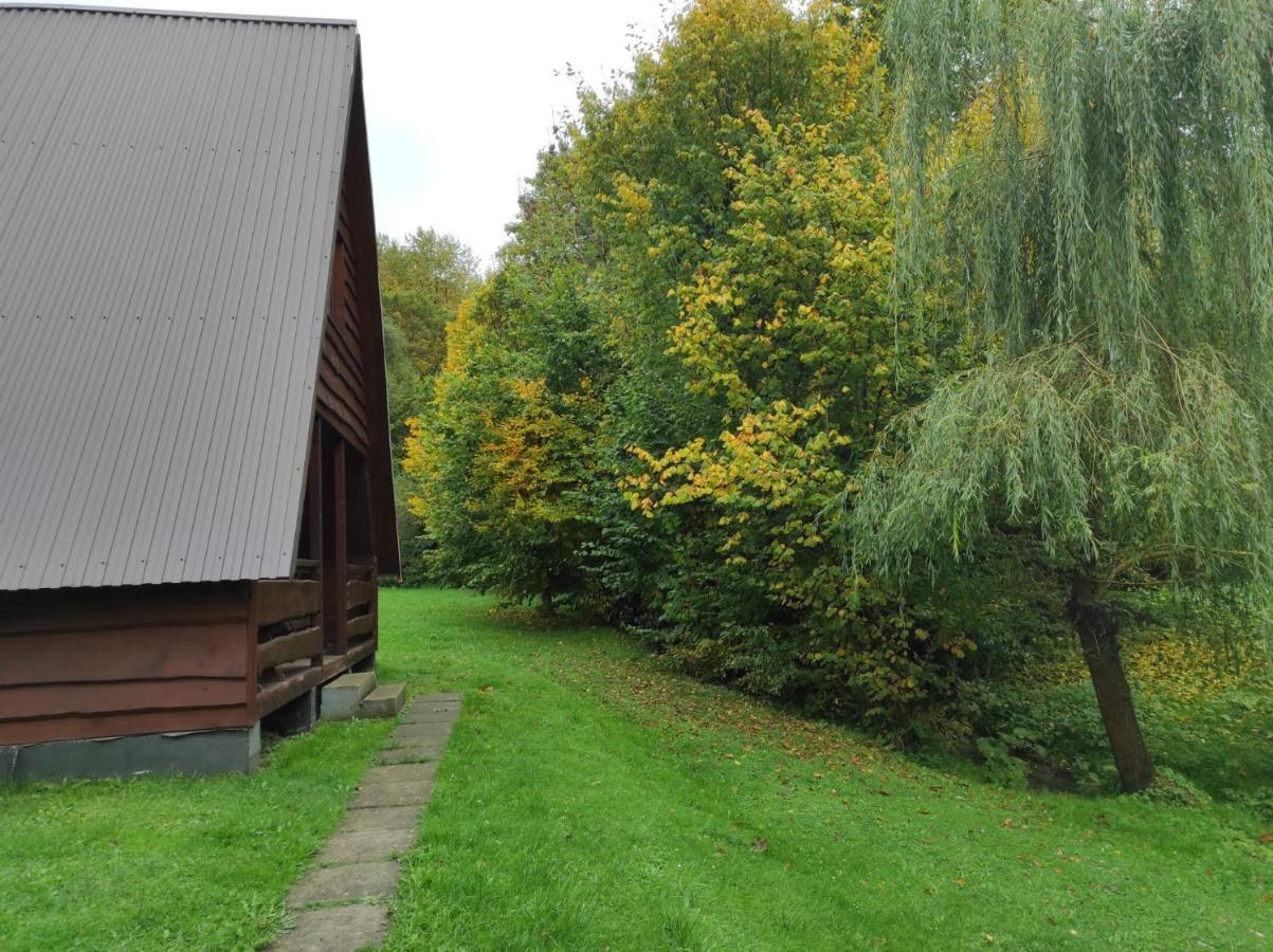 Za Potokiem Villa Solina  Eksteriør bilde