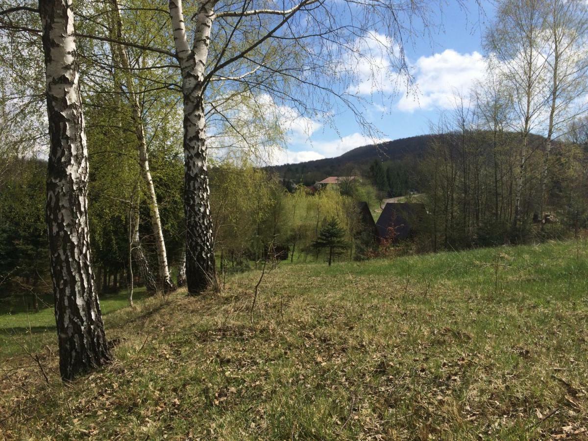 Za Potokiem Villa Solina  Eksteriør bilde