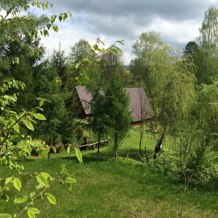Za Potokiem Villa Solina  Eksteriør bilde